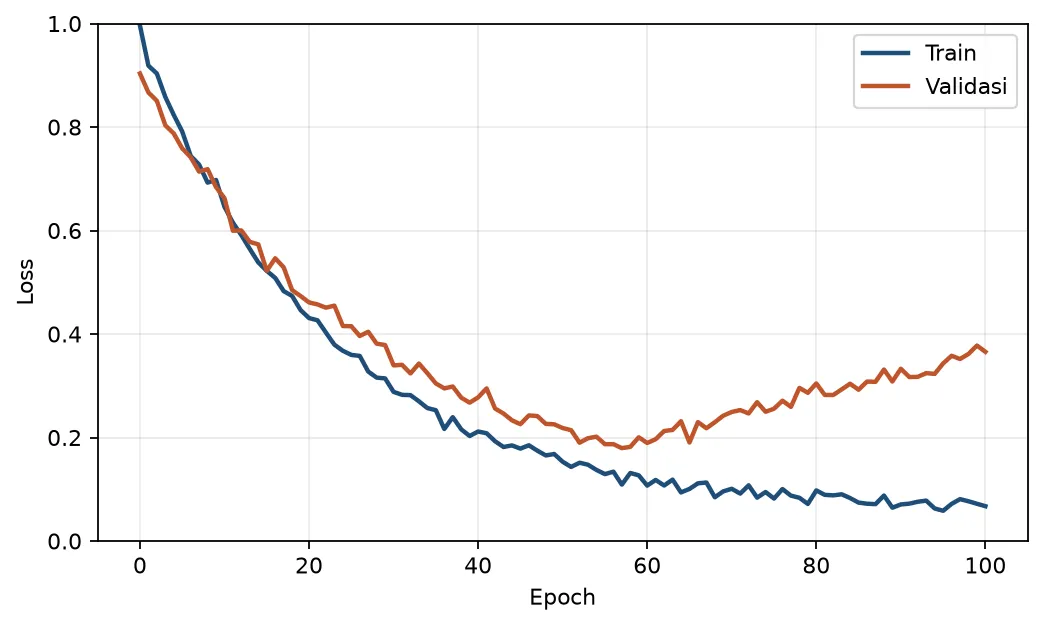 Gambar 5.1 - Learning curve klasik overfit